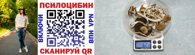 купить закладку  Власиха  Псилоцибиновые грибы Cubensis 